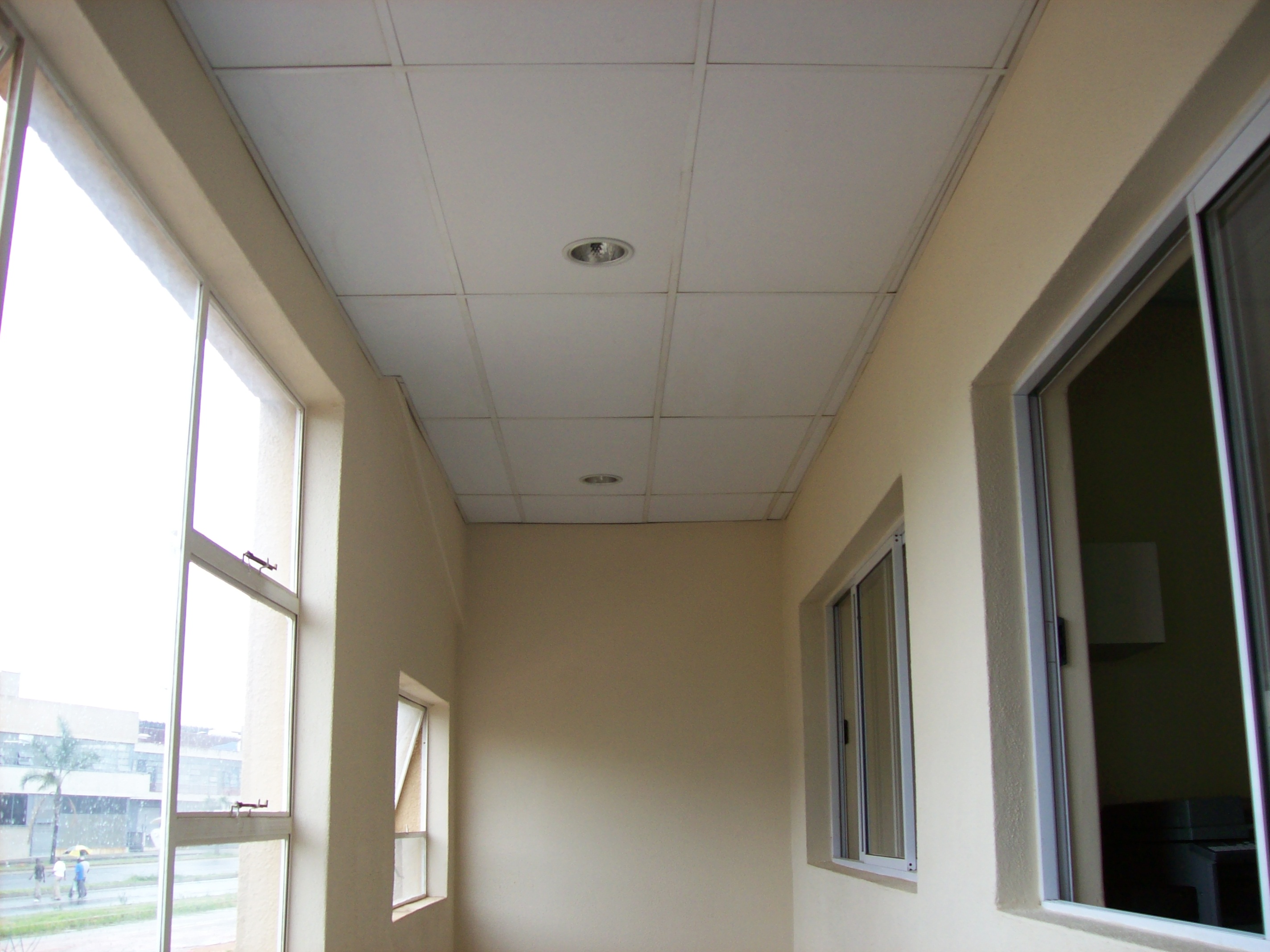 Drywalling Red Ant 2
